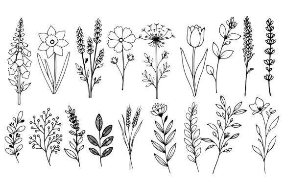 Download Set of Herbs and Wild Flowers Vector Art - Vector Collection